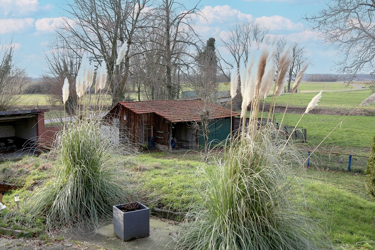 Garten Garten
